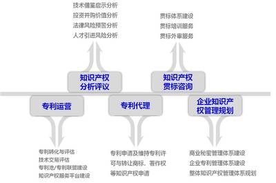 容知識產權——數據庫管理及咨詢服務介紹